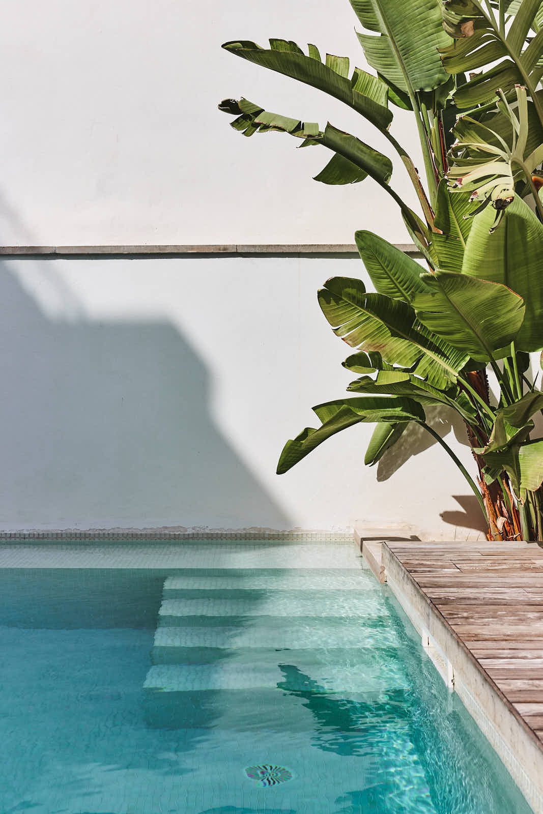 Pool mit Bananenstaude